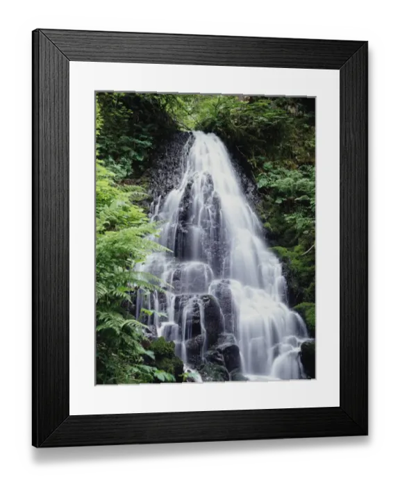 Framed Print : CTF-264. USA, Oregon, A Waterfall amongst ferns Framed Print : CTF-264. USA, Oregon, A Waterfall amongst ferns