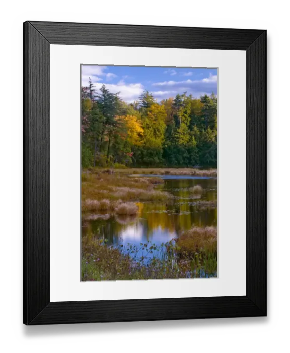 Framed Print : USA, New York, Adirondack Mountains. Forest reflections in pond Framed Print : USA, New York, Adirondack Mountains. Forest reflections in pond