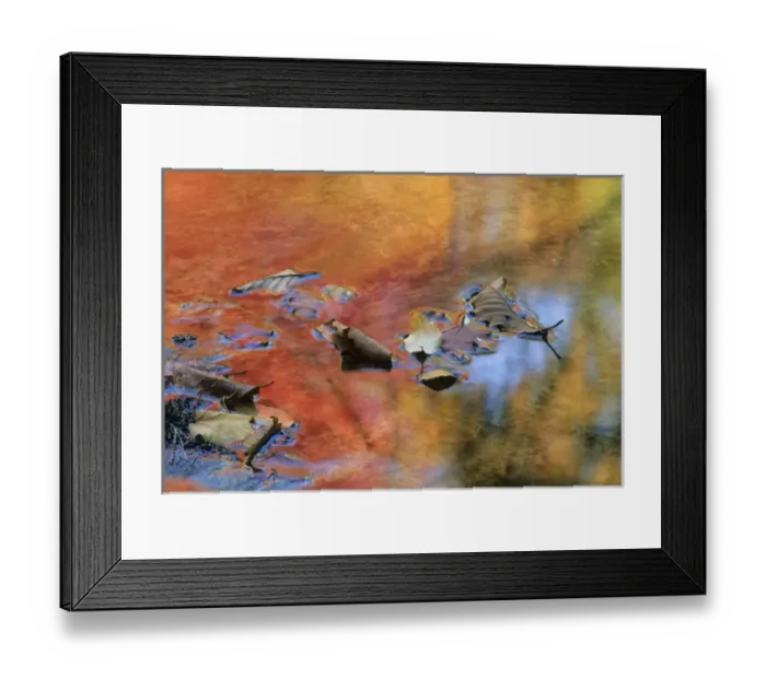 Framed Print : USA, New York, Adirondack Mountains. Autumn reflections in stream Framed Print : USA, New York, Adirondack Mountains. Autumn reflections in stream