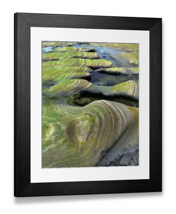 Framed Print : USA, Oregon, Seal Rock Beach Wayside. Algae-tinted sandstone formations. Credit as Framed Print : USA, Oregon, Seal Rock Beach Wayside. Algae-tinted sandstone formations. Credit as