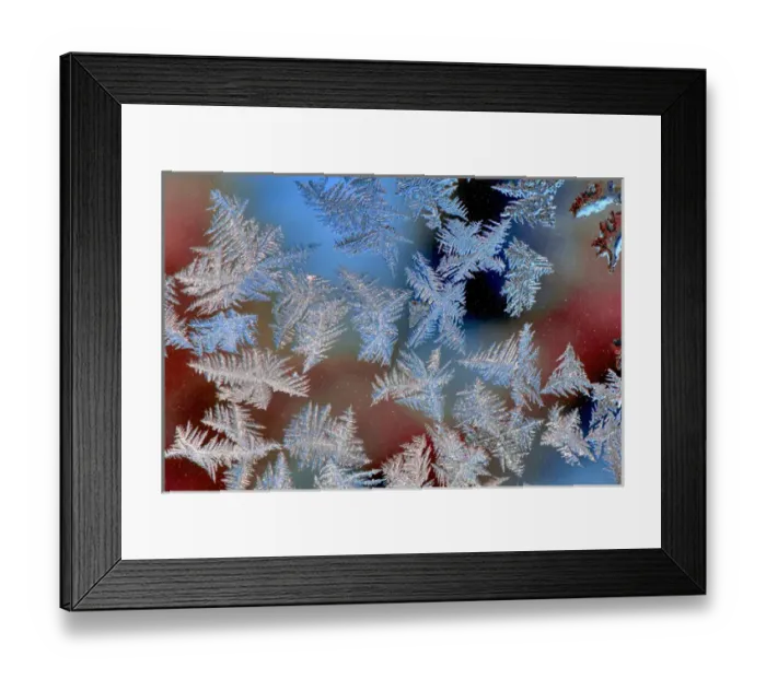 Framed Print : USA, Oregon, Portland. Ice crystals on window pane Framed Print : USA, Oregon, Portland. Ice crystals on window pane