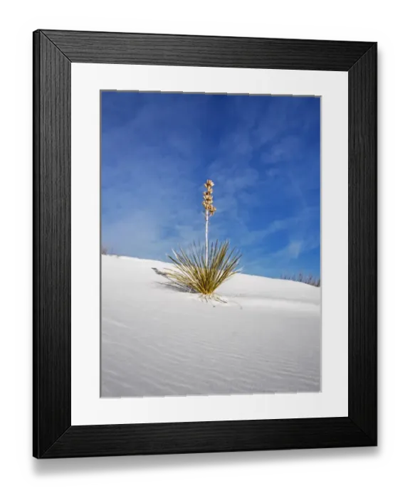 Framed Print : North America; USA; New Mexico, White Sands National Monument; Sand Dune Patterns Framed Print : North America; USA; New Mexico, White Sands National Monument; Sand Dune Patterns