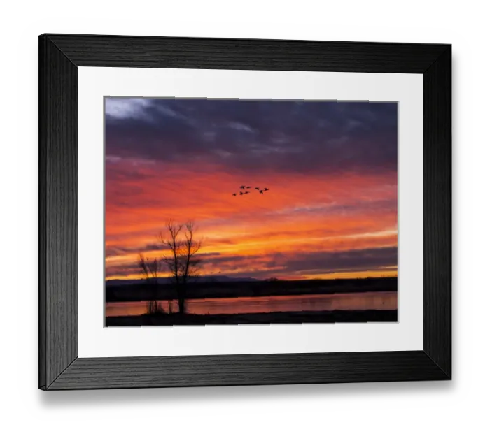 Framed Print : North America; Usa; New Mexico; Sunrise at Bosque del Apache National Wildlife Refuge Framed Print : North America; Usa; New Mexico; Sunrise at Bosque del Apache National Wildlife Refuge