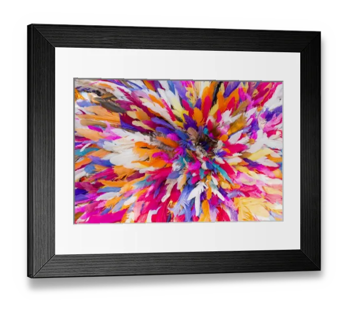 Framed Print : A plethora of feathers at an African festival, New York City, New York, USA