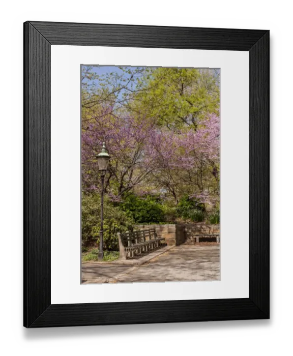 Framed Print : USA, New York, New York City, Central Park Framed Print : USA, New York, New York City, Central Park