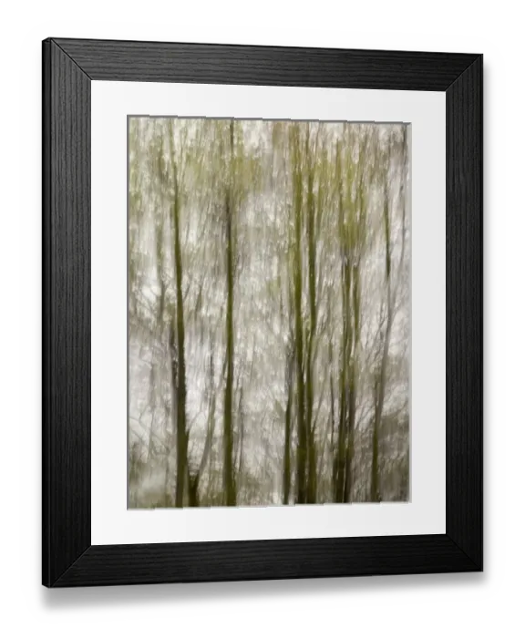 Framed Print : USA, North Carolina, Blue Ridge Parkway, Abstract of trees created by moving camera