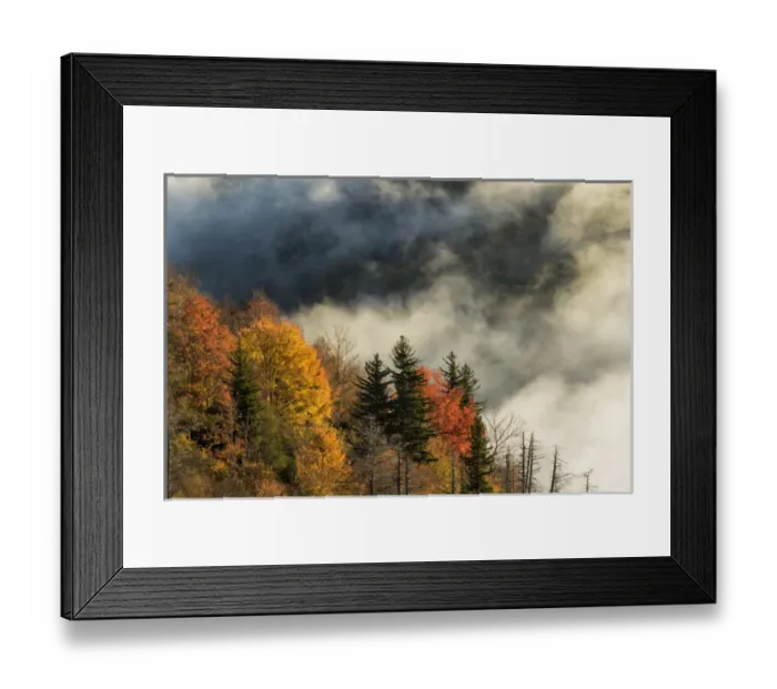 Framed Print : Autumn Colors and mist at sunrise, Blue Ridge Mountains from Blue Ridge Parkway at sunrise Framed Print : Autumn Colors and mist at sunrise, Blue Ridge Mountains from Blue Ridge Parkway at sunrise