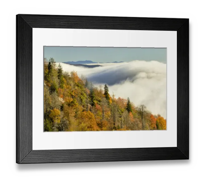 Framed Print : Autumn Colors and mist at sunrise, Blue Ridge Mountains from Blue Ridge Parkway at sunrise Framed Print : Autumn Colors and mist at sunrise, Blue Ridge Mountains from Blue Ridge Parkway at sunrise
