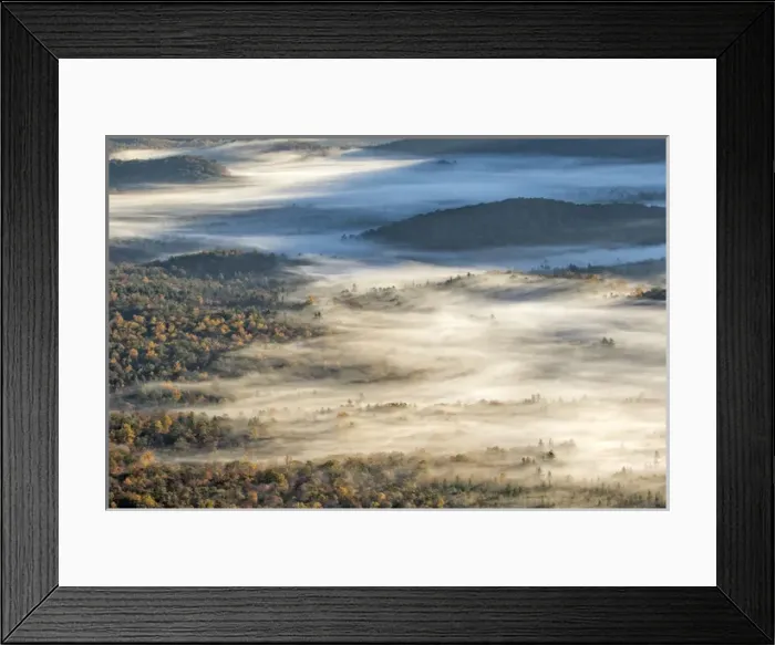 Framed Print : Elevated view of fog filled valley with trees emerging at sunrise, from Pounding Mill Overlook