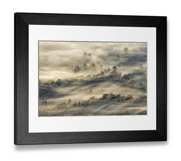Framed Print : Elevated view of fog filled valley with trees emerging at sunrise, from Pounding Mill Overlook Framed Print : Elevated view of fog filled valley with trees emerging at sunrise, from Pounding Mill Overlook