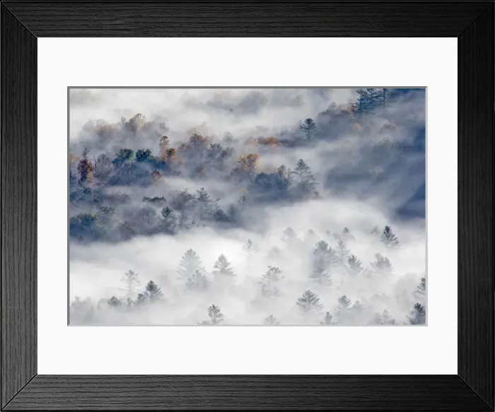 Framed Print : Elevated view of fog filled valley with trees emerging at sunrise, from Pounding Mill Overlook