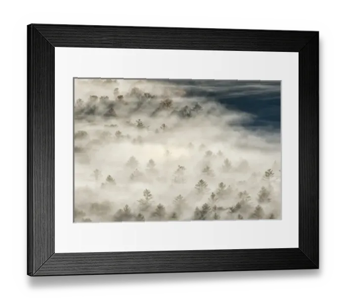 Framed Print : Elevated view of fog filled valley with trees emerging at sunrise, from Pounding Mill Overlook
