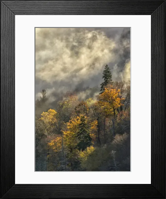 Framed Print : Autumn Colors and mist at sunrise, Blue Ridge Mountains from Blue Ridge Parkway at sunrise Framed Print : Autumn Colors and mist at sunrise, Blue Ridge Mountains from Blue Ridge Parkway at sunrise