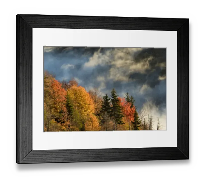 Framed Print : Autumn Colors and mist at sunrise, Blue Ridge Mountains from Blue Ridge Parkway at sunrise Framed Print : Autumn Colors and mist at sunrise, Blue Ridge Mountains from Blue Ridge Parkway at sunrise