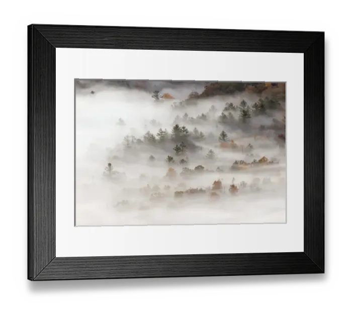 Framed Print : Elevated view of fog filled valley with trees emerging at sunrise, from Pounding Mill Overlook Framed Print : Elevated view of fog filled valley with trees emerging at sunrise, from Pounding Mill Overlook