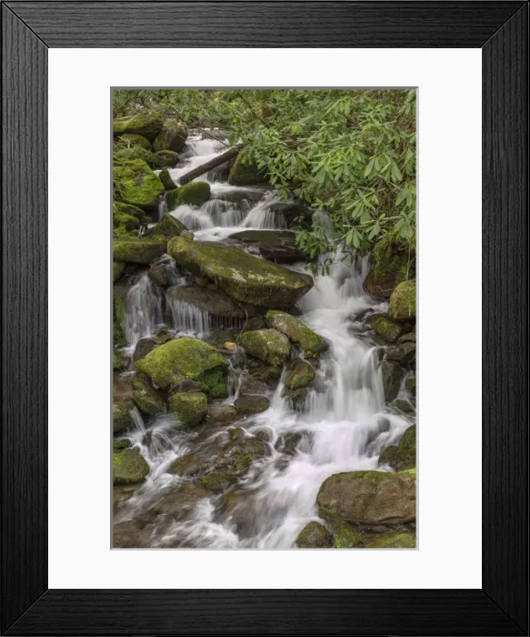 Framed Print : Mountain stream, Great Smoky Mountains National Park, North Carolina Framed Print : Mountain stream, Great Smoky Mountains National Park, North Carolina