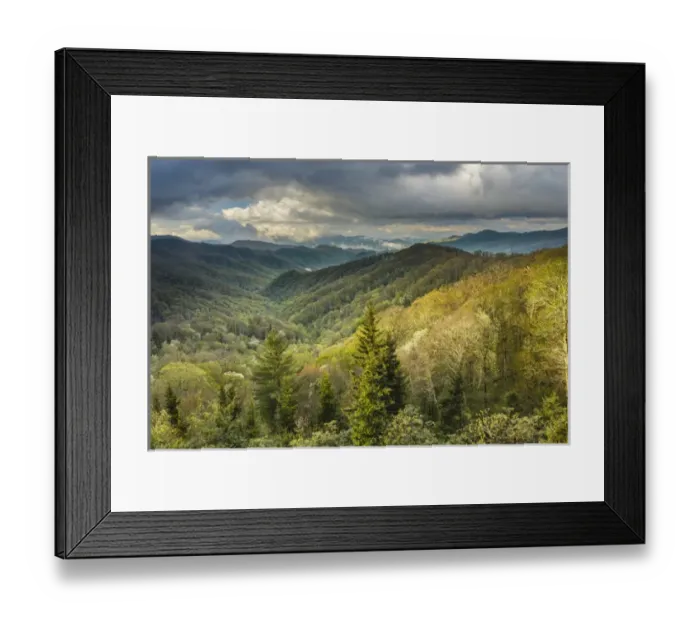 Framed Print : View of Deep Creek in early spring, Great Smoky Mountains National Park, North Carolina Framed Print : View of Deep Creek in early spring, Great Smoky Mountains National Park, North Carolina