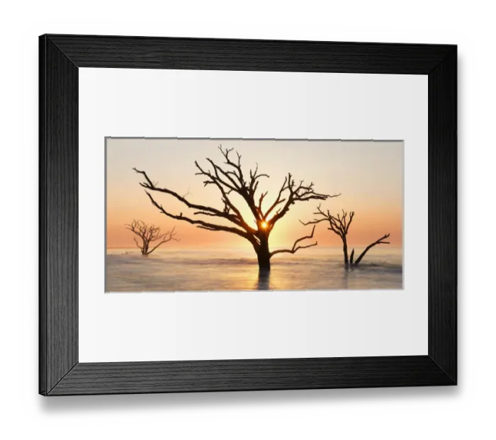 Framed Print : USA, North Carolina. Sunrise at Botany Bay Plantation Heritage Preserve. Credit as Framed Print : USA, North Carolina. Sunrise at Botany Bay Plantation Heritage Preserve. Credit as