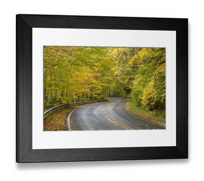 Framed Print : USA, North Carolina. Road through autumn-colored forest