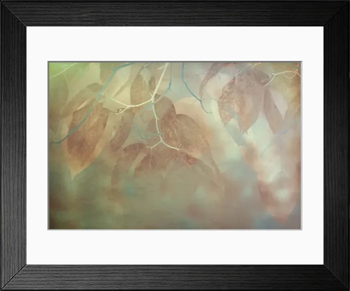 Framed Print : USA, North Carolina, Great Smoky Mountains. Impressionistic detail of fall leaves Framed Print : USA, North Carolina, Great Smoky Mountains. Impressionistic detail of fall leaves