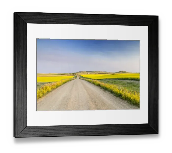 Framed Print : Gravel road to West Rainy Butte and flowering canola near New England, North Dakota, USA Framed Print : Gravel road to West Rainy Butte and flowering canola near New England, North Dakota, USA