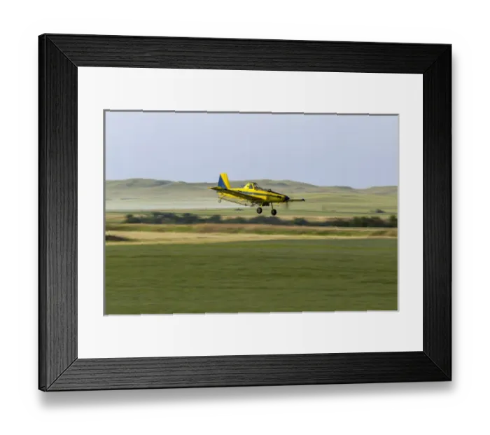 Framed Print : Crop Duster airplane spraying flax filed for grasshoppers near Mott, North Dakota, USA Framed Print : Crop Duster airplane spraying flax filed for grasshoppers near Mott, North Dakota, USA