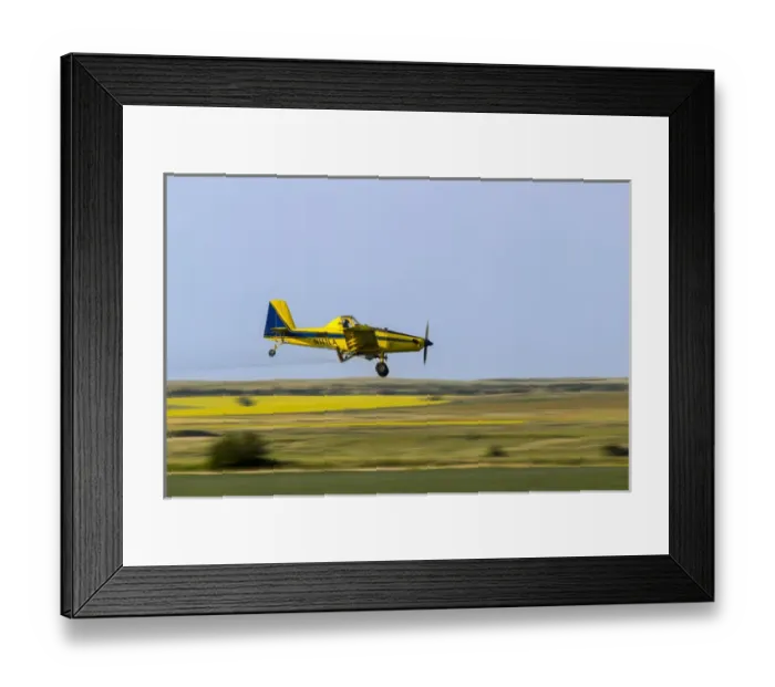 Framed Print : Crop Duster airplane spraying flax filed for grasshoppers near Mott, North Dakota, USA