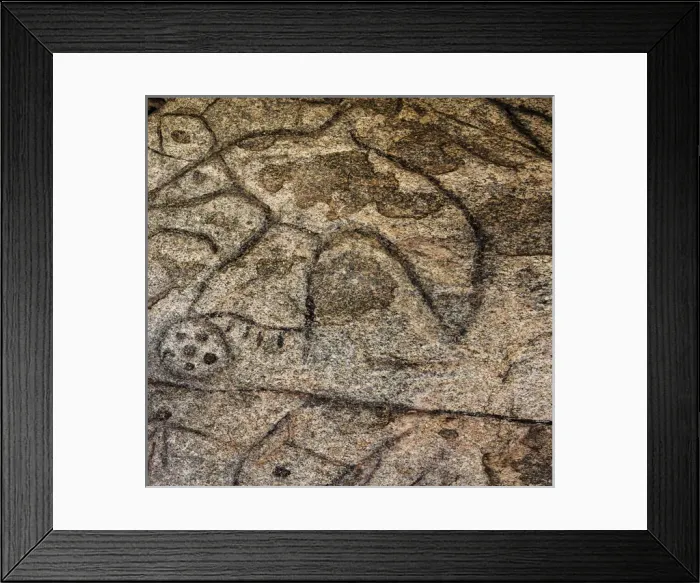 Framed Print : Granite boulder containing many Native American petroglyphs at Writing Rock State Framed Print : Granite boulder containing many Native American petroglyphs at Writing Rock State