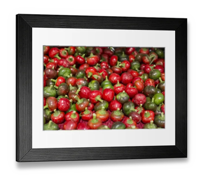Framed Print : New York City, NY, USA. Farmers market