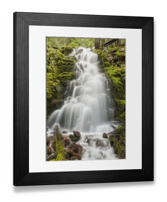 Framed Print : White Branch Falls, Oregon Cascades, Oregon Framed Print : White Branch Falls, Oregon Cascades, Oregon
