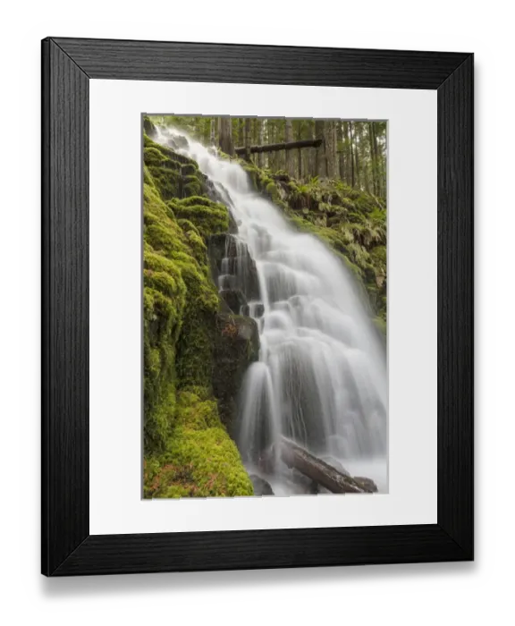 Framed Print : White Branch Falls, Oregon Cascades, Oregon Framed Print : White Branch Falls, Oregon Cascades, Oregon