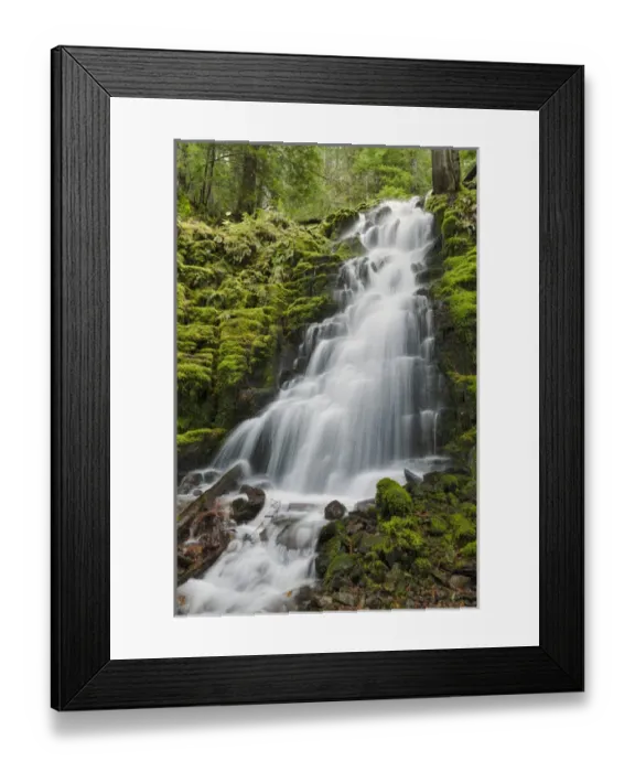 Framed Print : White Branch Falls, Oregon Cascades, Oregon Framed Print : White Branch Falls, Oregon Cascades, Oregon