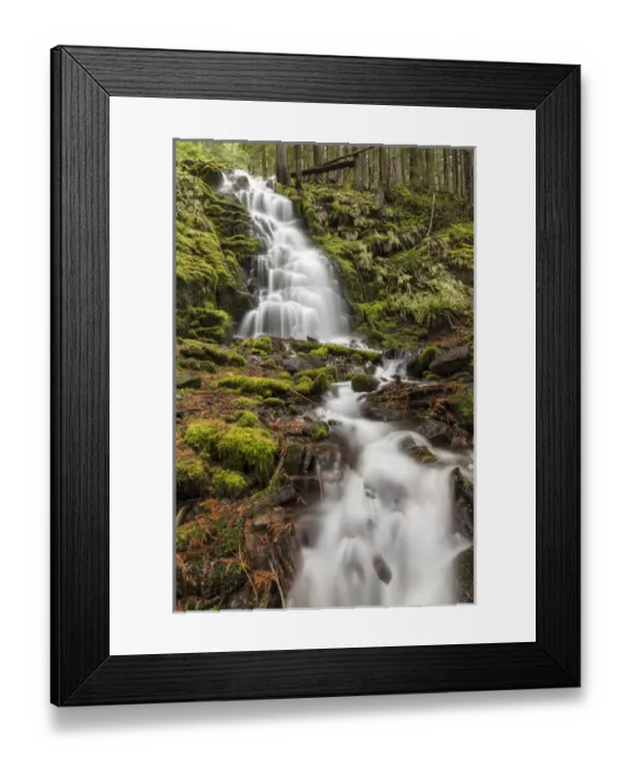 Framed Print : White Branch Falls, Oregon Cascades, Oregon Framed Print : White Branch Falls, Oregon Cascades, Oregon