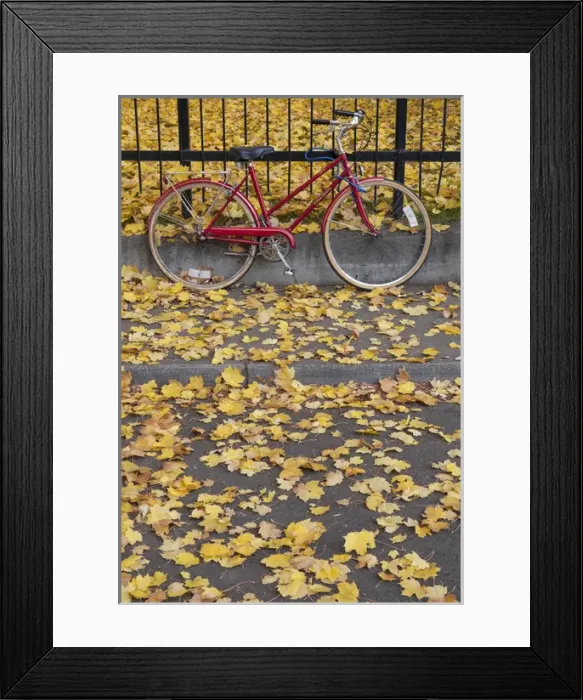 Framed Print : Red bicycle rests against a fence amidst yellow fallen leaves