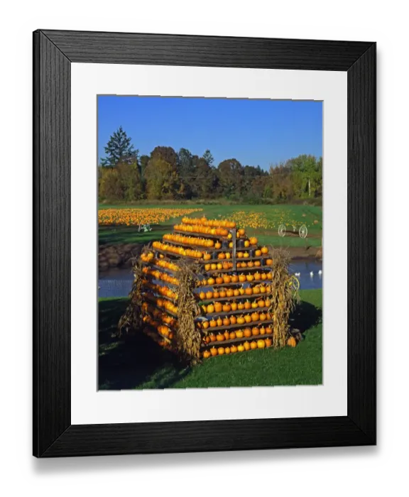 Framed Print : USA, Oregon, Willamette Valley. House made of pumpkins at a farm Framed Print : USA, Oregon, Willamette Valley. House made of pumpkins at a farm