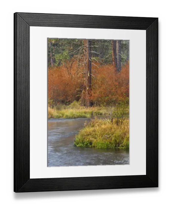 Framed Print : USA, Oregon, Metolius River. Fall colors line bank of popular trout stream. Credit as Framed Print : USA, Oregon, Metolius River. Fall colors line bank of popular trout stream. Credit as