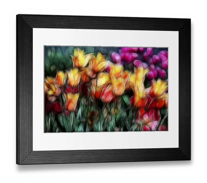 Framed Print : USA, Oregon. Abstract of digitally altered tulips Framed Print : USA, Oregon. Abstract of digitally altered tulips