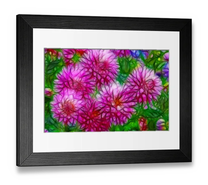 Framed Print : USA, Oregon. Abstract of digitally altered pink dahlias