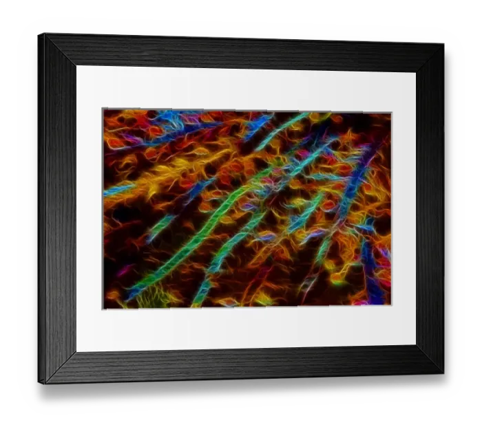 Framed Print : USA, Oregon, Bandon. Abstract of digitally altered Pacific sea kelp Framed Print : USA, Oregon, Bandon. Abstract of digitally altered Pacific sea kelp
