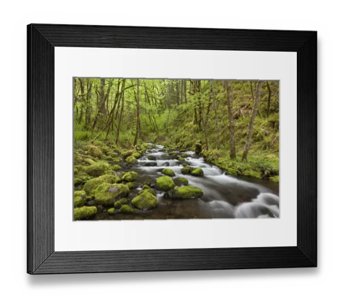 Framed Print : USA, Oregon, Columbia River Gorge. View of Gorton Creek Framed Print : USA, Oregon, Columbia River Gorge. View of Gorton Creek