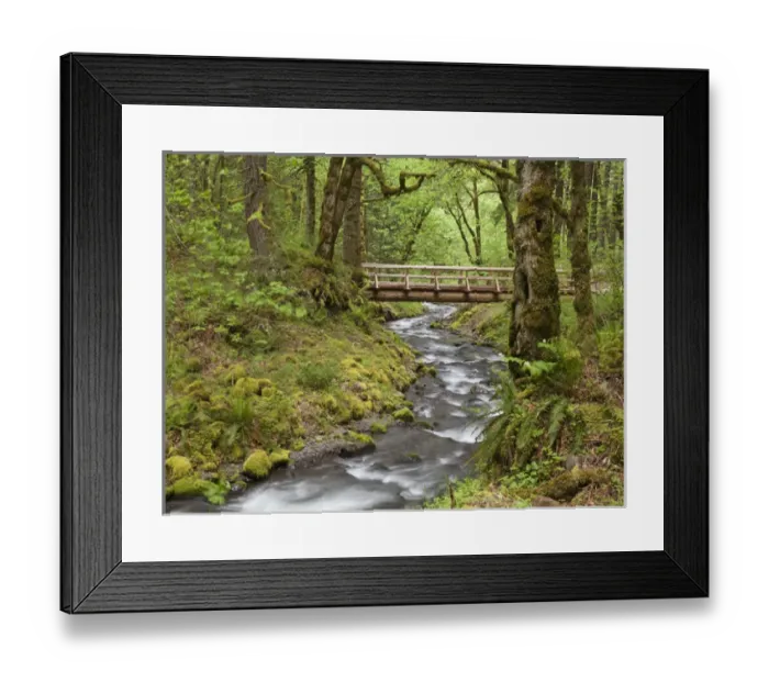 Framed Print : USA, Oregon, Columbia River Gorge. Wooden bridge over Gorton Creek