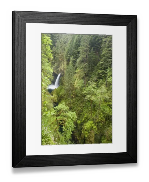 Framed Print : USA, Oregon, Columbia River Gorge. View of Metlako Falls from Eagle Creek Trail. Credit as Framed Print : USA, Oregon, Columbia River Gorge. View of Metlako Falls from Eagle Creek Trail. Credit as