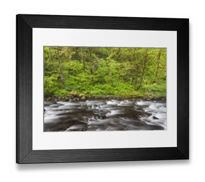 Framed Print : USA, Oregon, Columbia River Gorge. View of Tanner Creek Framed Print : USA, Oregon, Columbia River Gorge. View of Tanner Creek