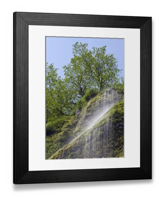 Framed Print : USA, Oregon, Columbia River Gorge. Waterfall flowing from cliff Framed Print : USA, Oregon, Columbia River Gorge. Waterfall flowing from cliff