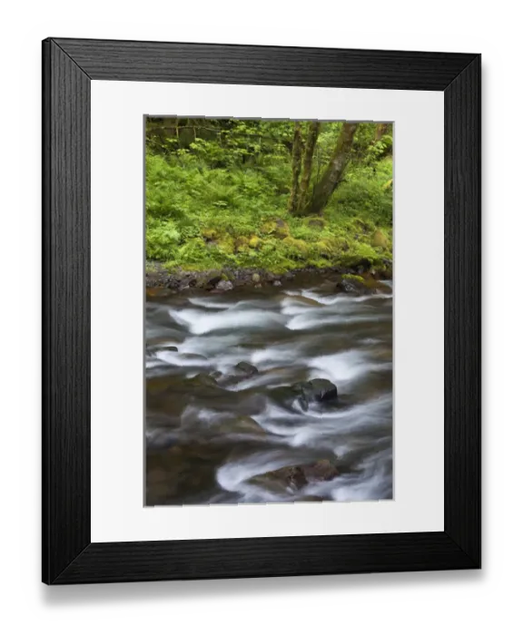 Framed Print : USA, Oregon, Columbia River Gorge. View of Tanner Creek