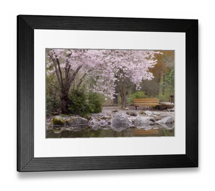 Framed Print : USA, Oregon, Ashland. Spring scenic in Lithia Park Framed Print : USA, Oregon, Ashland. Spring scenic in Lithia Park