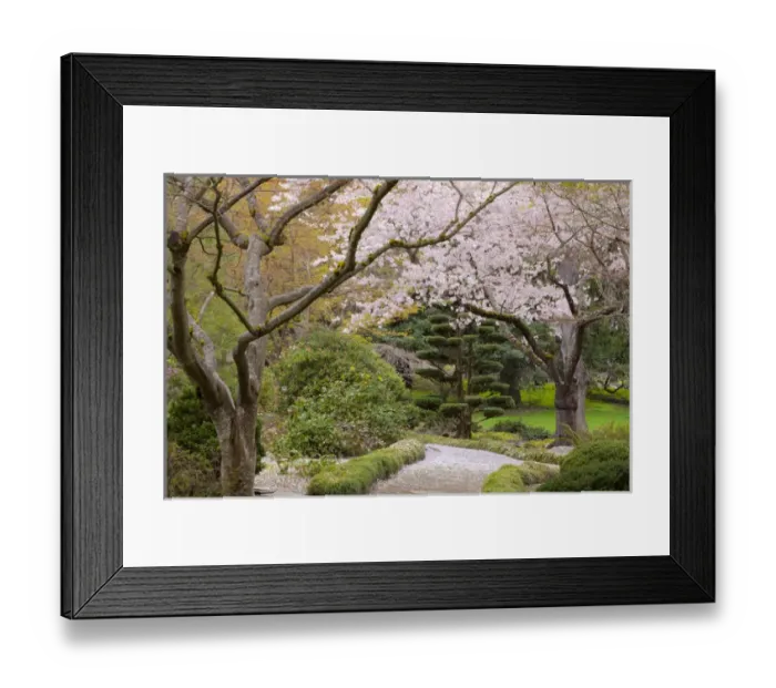 Framed Print : USA, Oregon, Ashland. Spring scenic in Lithia Park Framed Print : USA, Oregon, Ashland. Spring scenic in Lithia Park