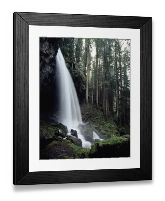 Framed Print : CTF-1007. USA, Oregon, A waterfall in an old-growth forest