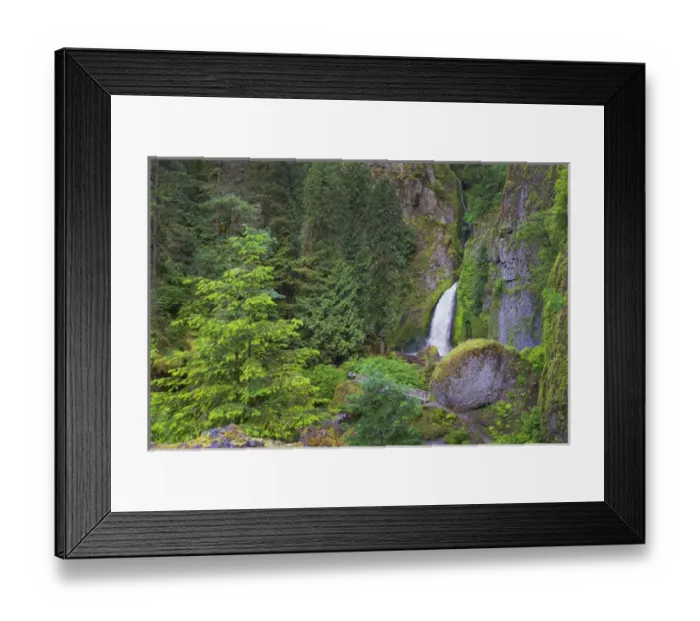 Framed Print : USA, Oregon, Multnomah County. Wahclella Falls on Tanner Creek in the Columbia River Framed Print : USA, Oregon, Multnomah County. Wahclella Falls on Tanner Creek in the Columbia River