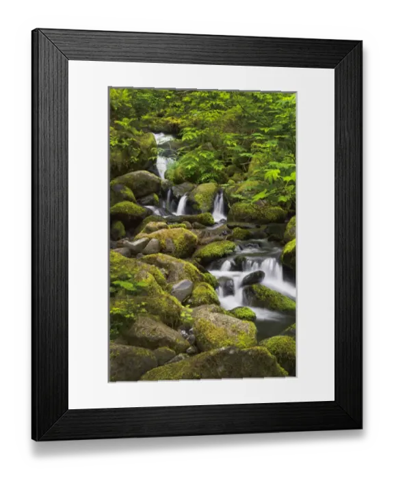Framed Print : USA, Oregon, Hood River. A waterfall on Tish Creek, just above Eagle Creek and Punch Framed Print : USA, Oregon, Hood River. A waterfall on Tish Creek, just above Eagle Creek and Punch
